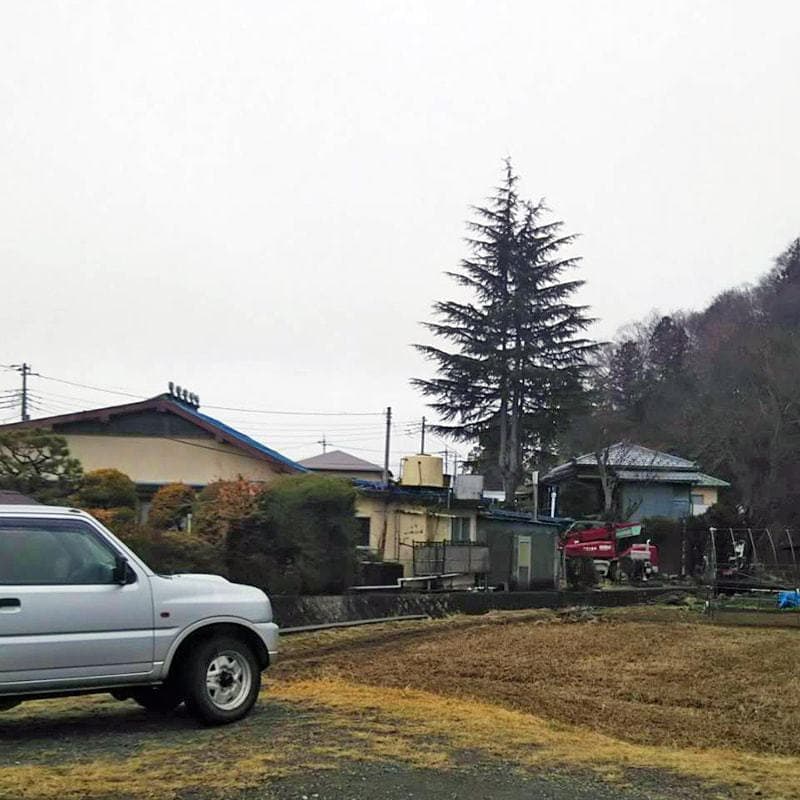 伐採前の写真3