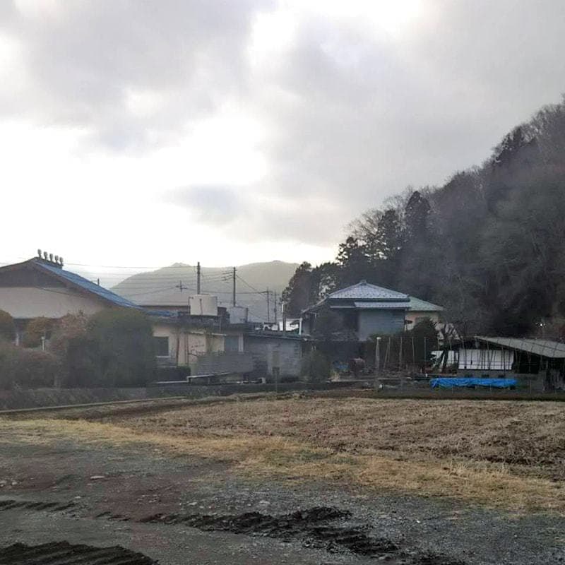 伐採後の写真3