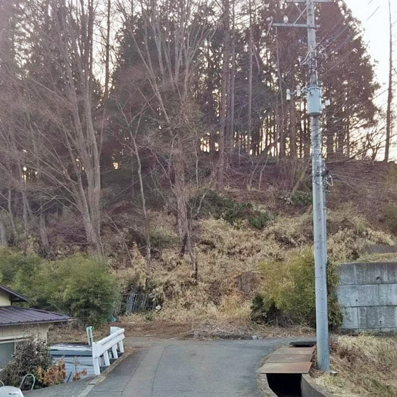 伐採後の写真2