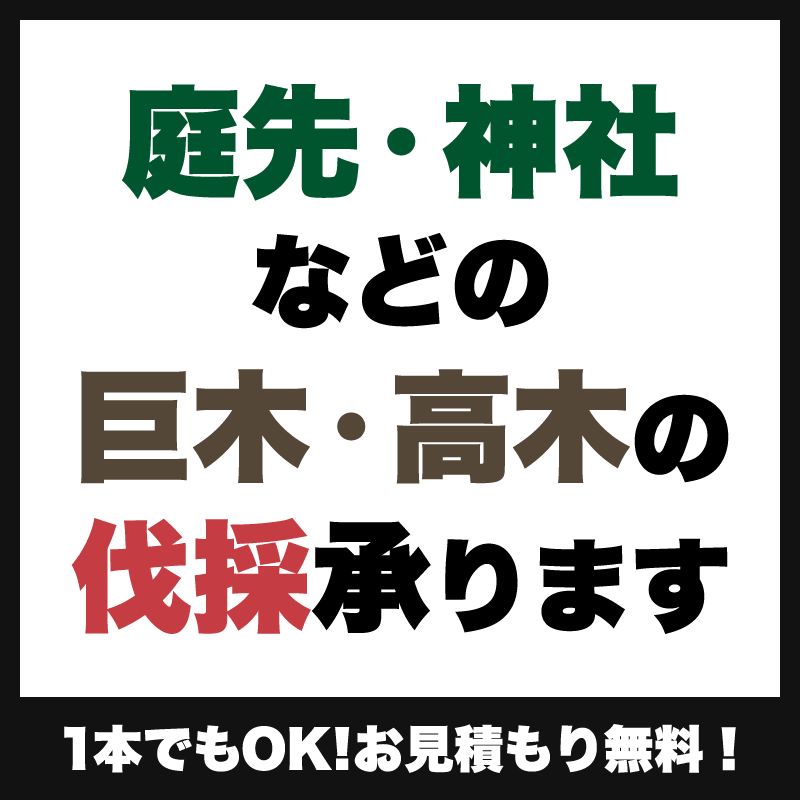 重機の入れない場所の木の伐採も大丈夫!山梨県で伐採・特殊伐採を頼むならツリーワークミヤジへ!